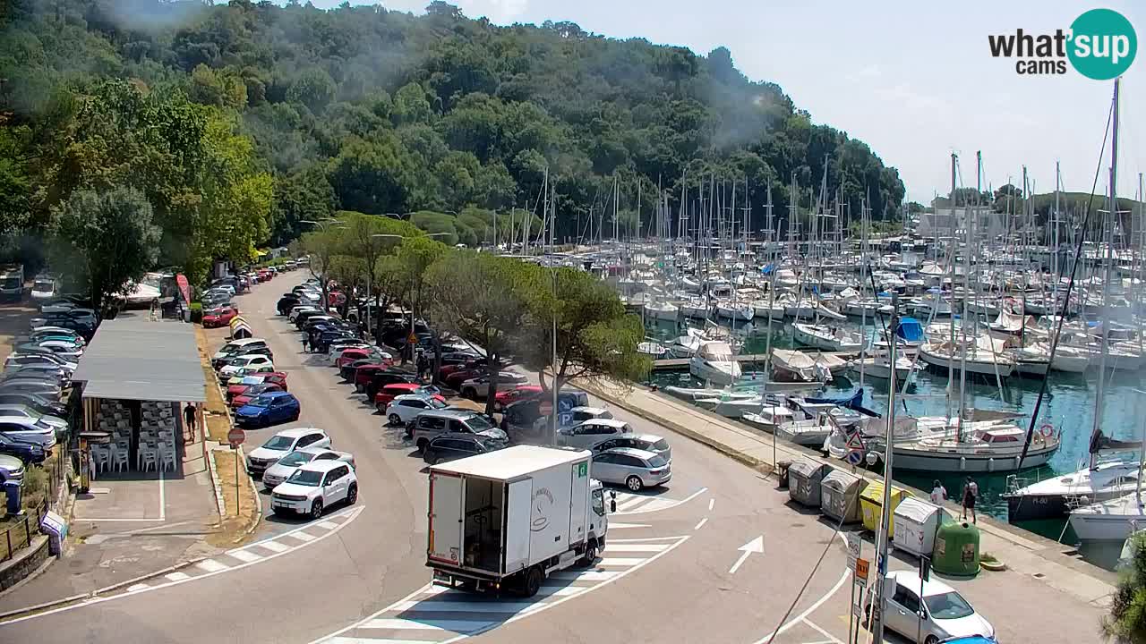 Spletna kamera Sesljanski zaliv – Pogled v živo na marino in zaliv
