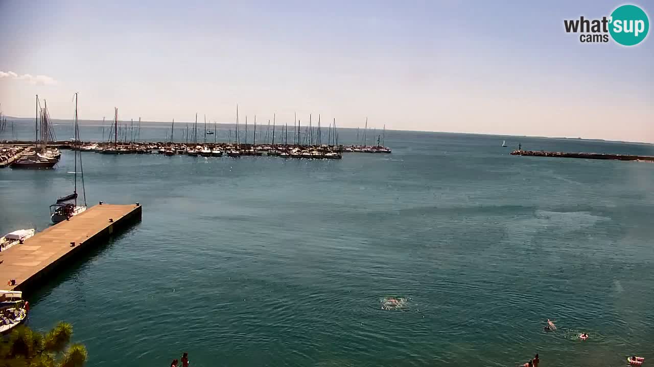 Webcam Sistiana Baia – Live View of the Marina and Gulf