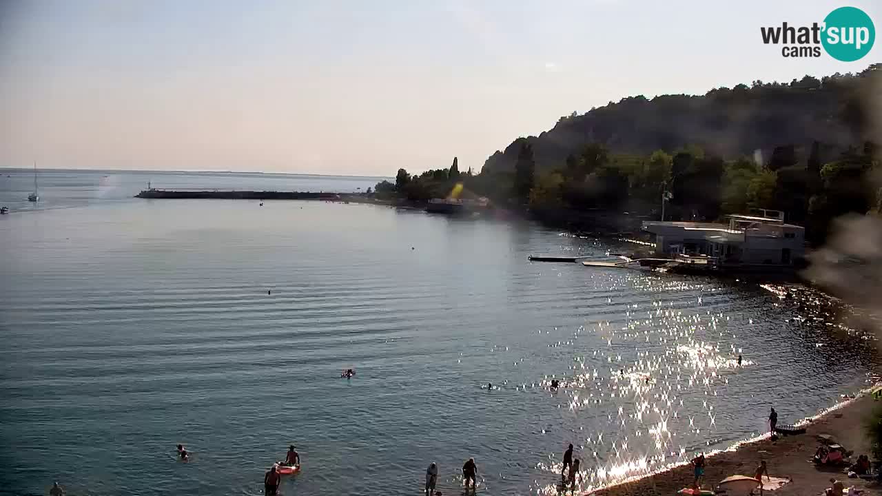 Webcam Sistiana Bucht – Liveblick auf Marina und Bucht