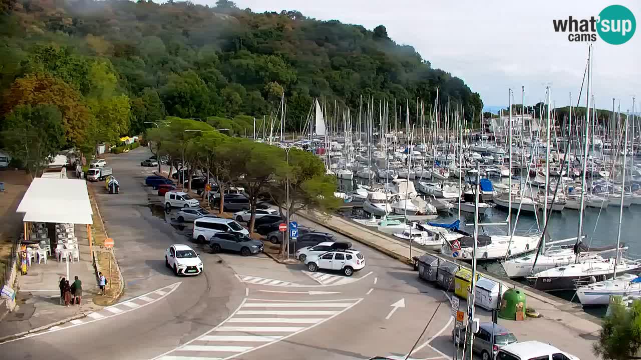 Webcam Sistiana Baia – Live View of the Marina and Gulf