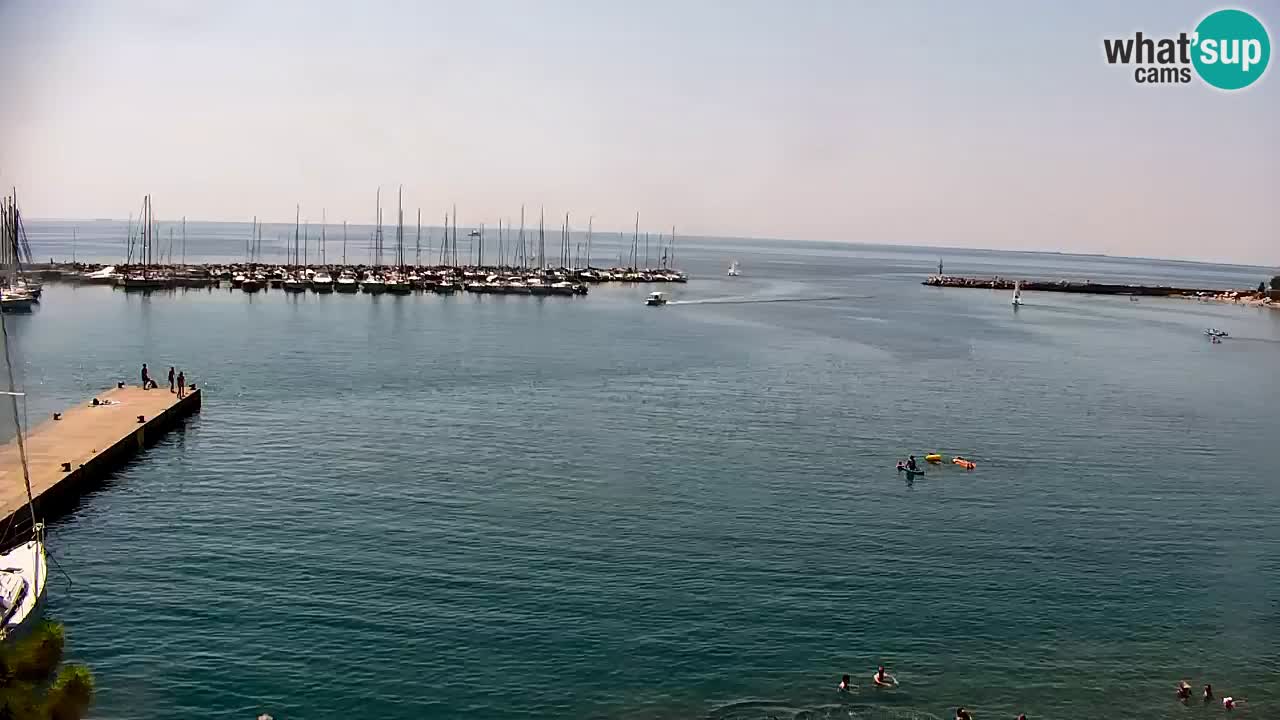 Webcam Sistiana Baia – Live View of the Marina and Gulf
