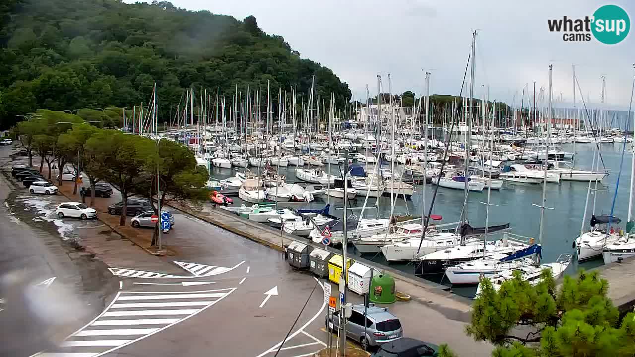 Webcam Sistiana Baia – Live View of the Marina and Gulf