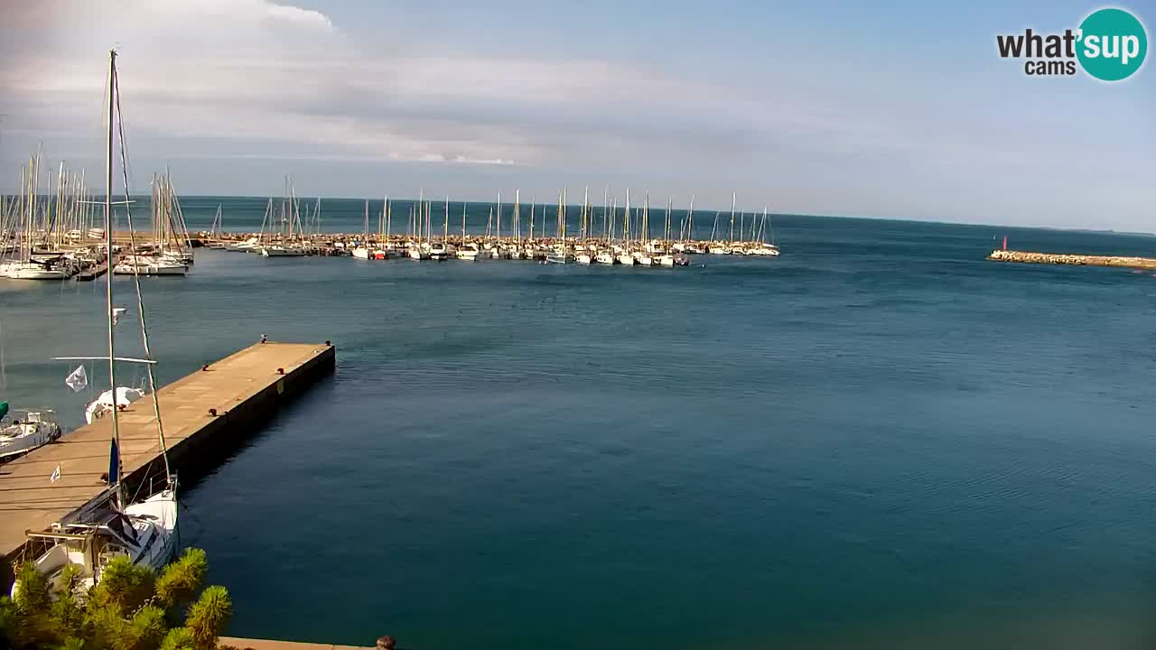 Webcam Bahía de Sistiana – Vista en directo del puerto deportivo y la costa