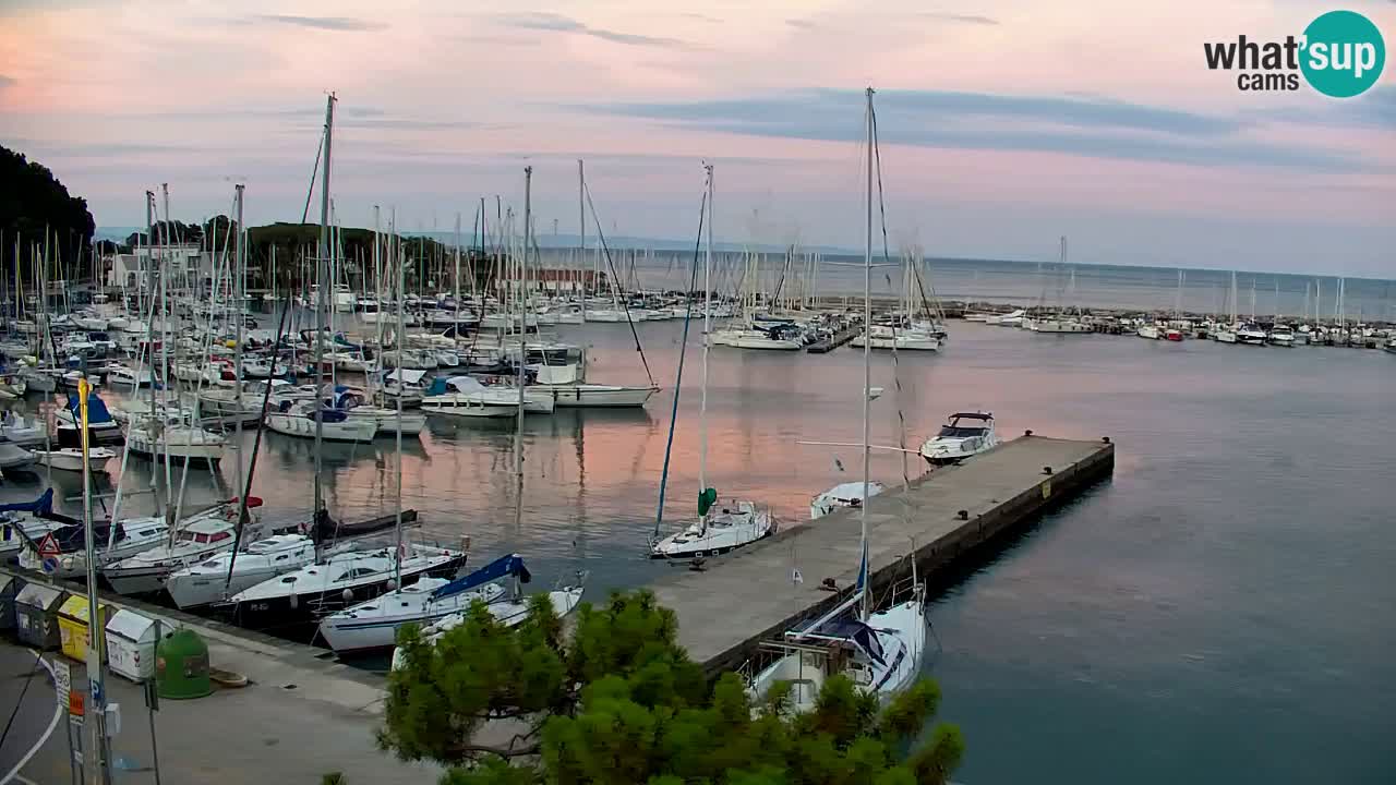 Web kamera Sistiana Uvala – Pogled uživo na marinu i zaljev