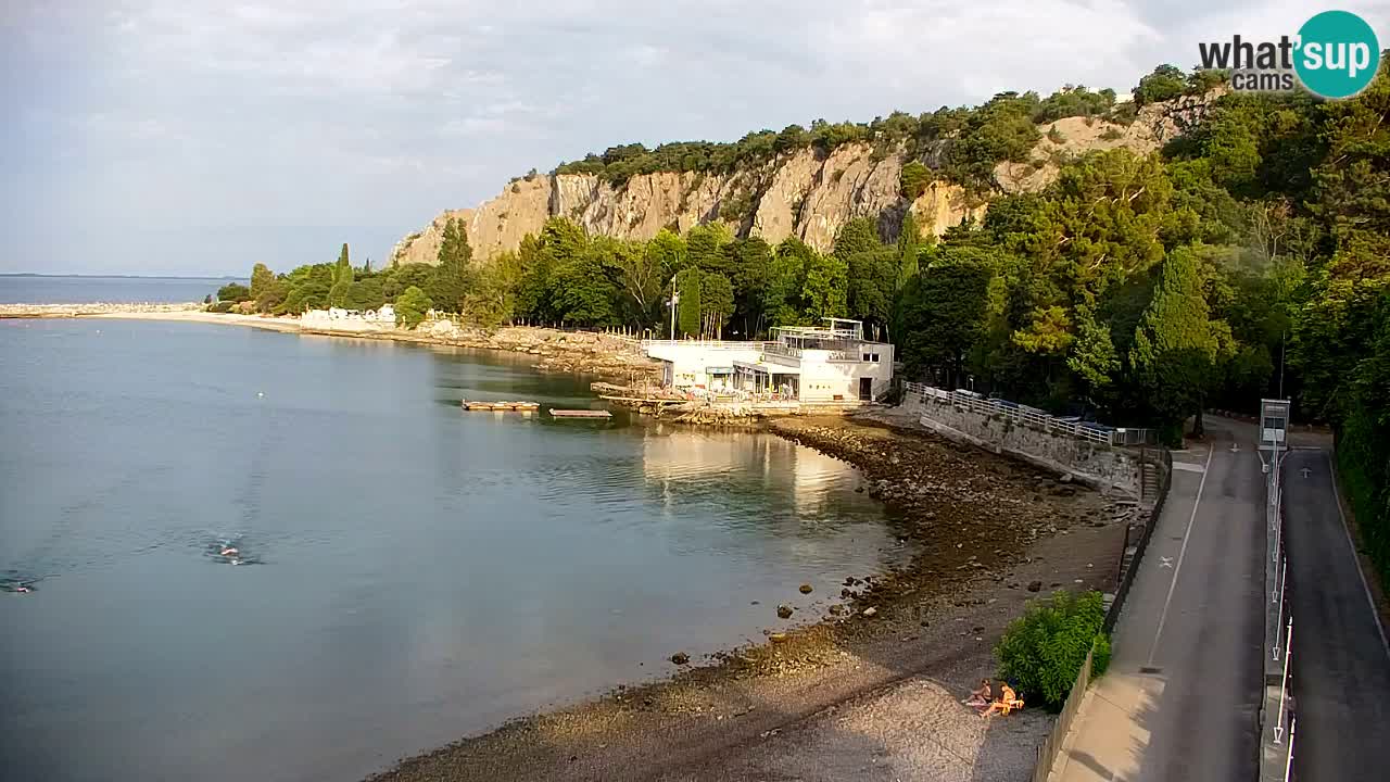 Web kamera Sistiana Uvala – Pogled uživo na marinu i zaljev