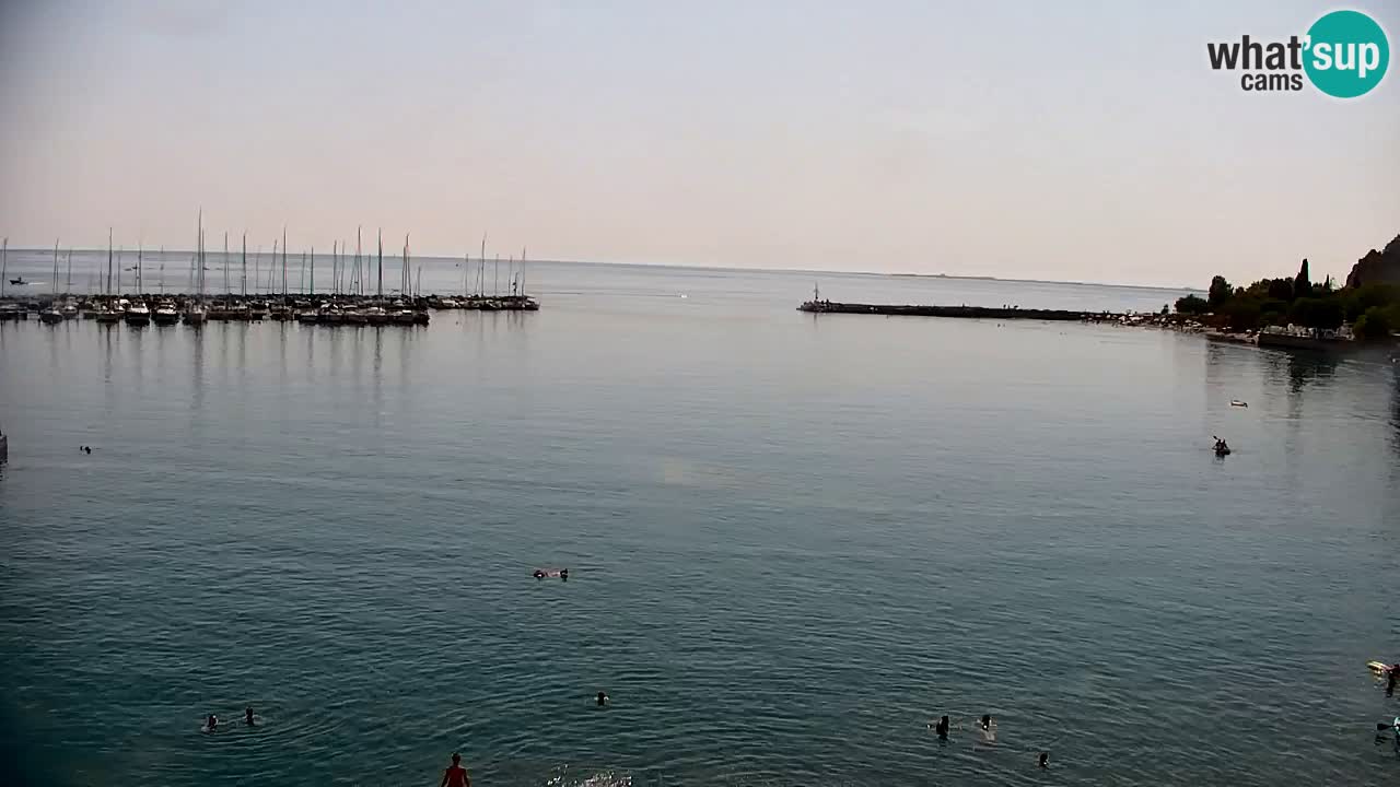 Webcam Sistiana Baia – Live View of the Marina and Gulf