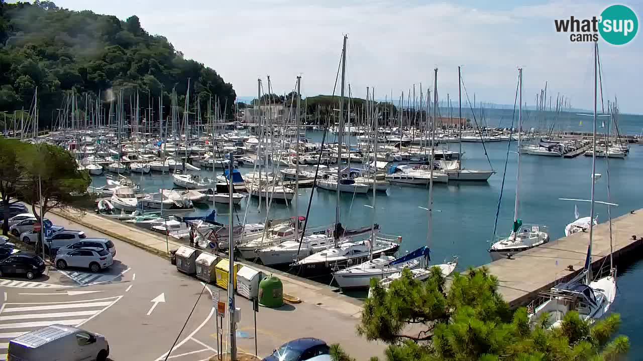 Webcam Bahía de Sistiana – Vista en directo del puerto deportivo y la costa