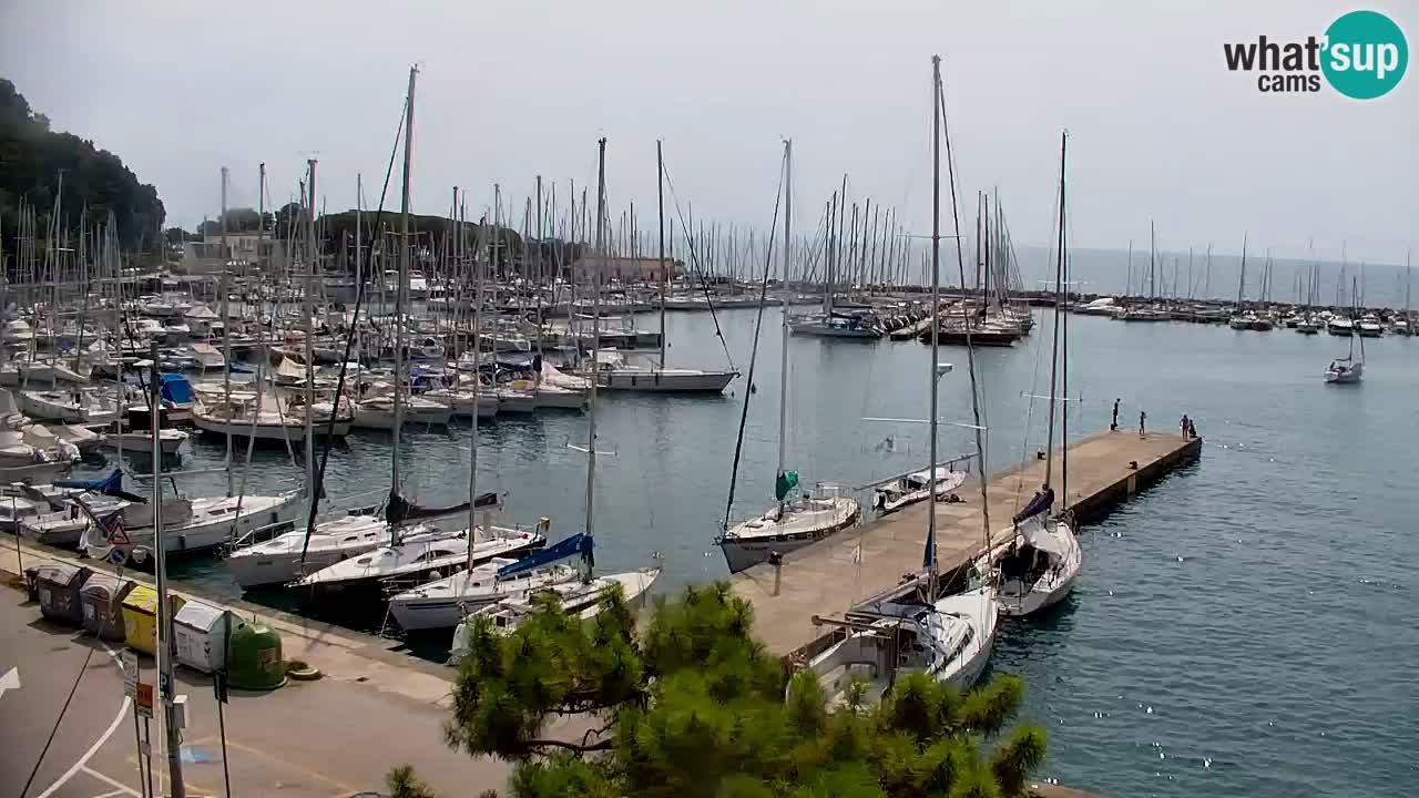 Webcam Sistiana Bucht – Liveblick auf Marina und Bucht