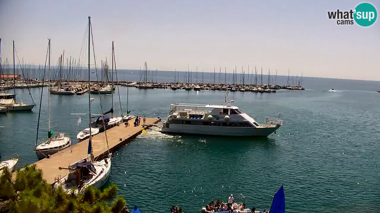 Webcam Bahía de Sistiana – Vista en directo del puerto deportivo y la costa