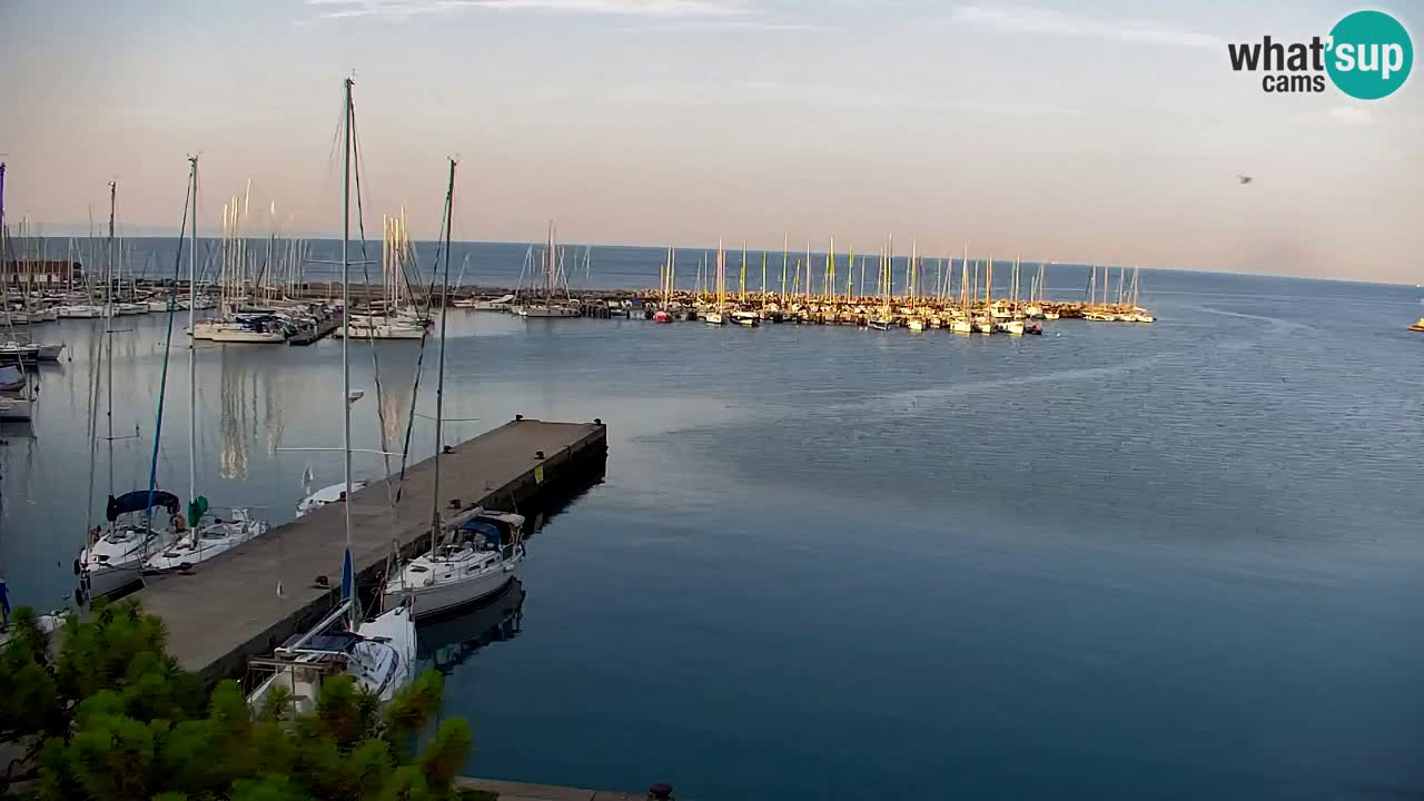 Web kamera Sistiana Uvala – Pogled uživo na marinu i zaljev
