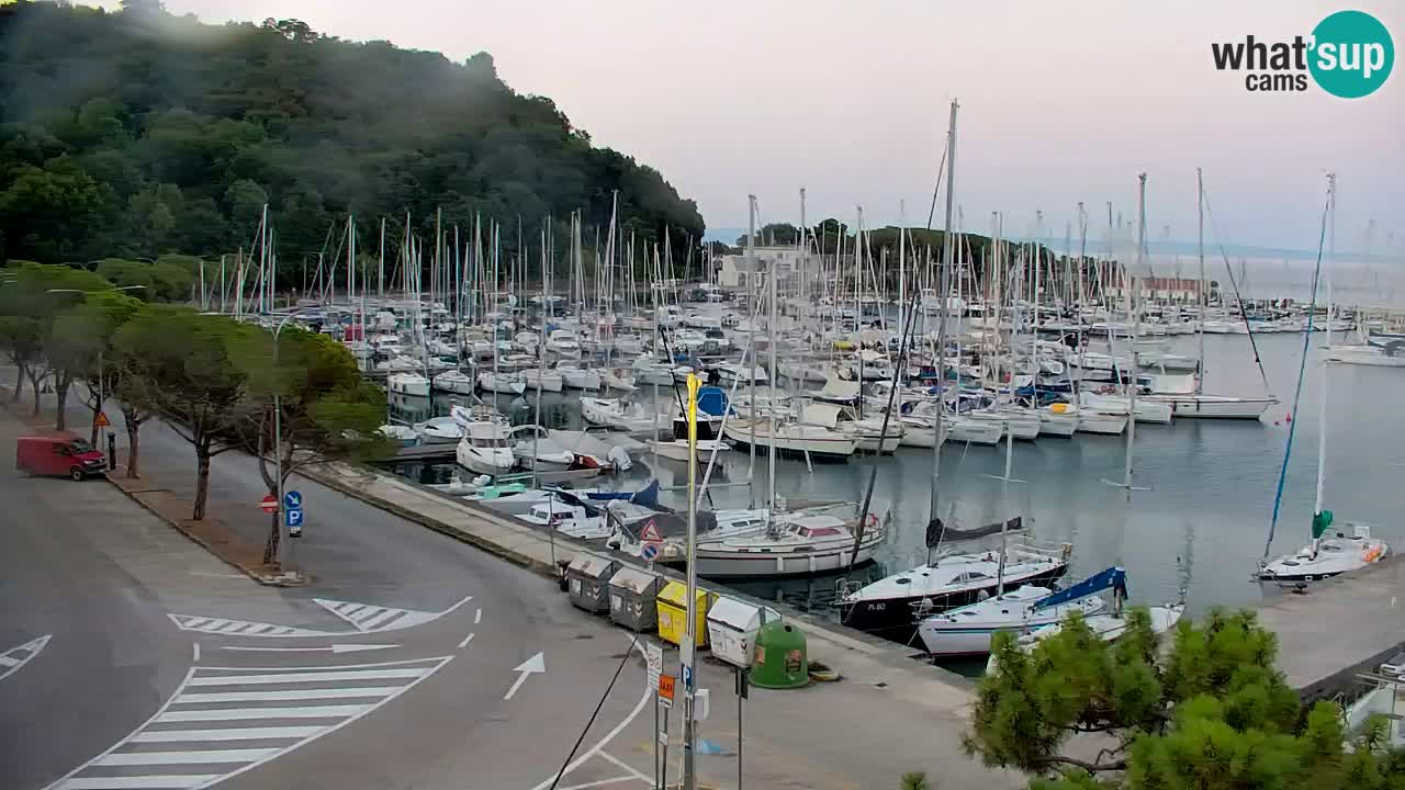 Webcam Sistiana Baia – Live View of the Marina and Gulf