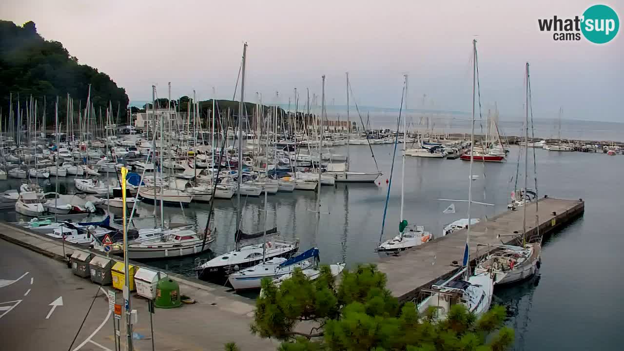 Webcam Bahía de Sistiana – Vista en directo del puerto deportivo y la costa