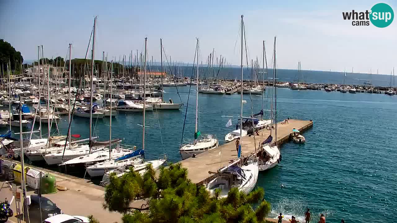 Webcam Sistiana Baia – Live View of the Marina and Gulf