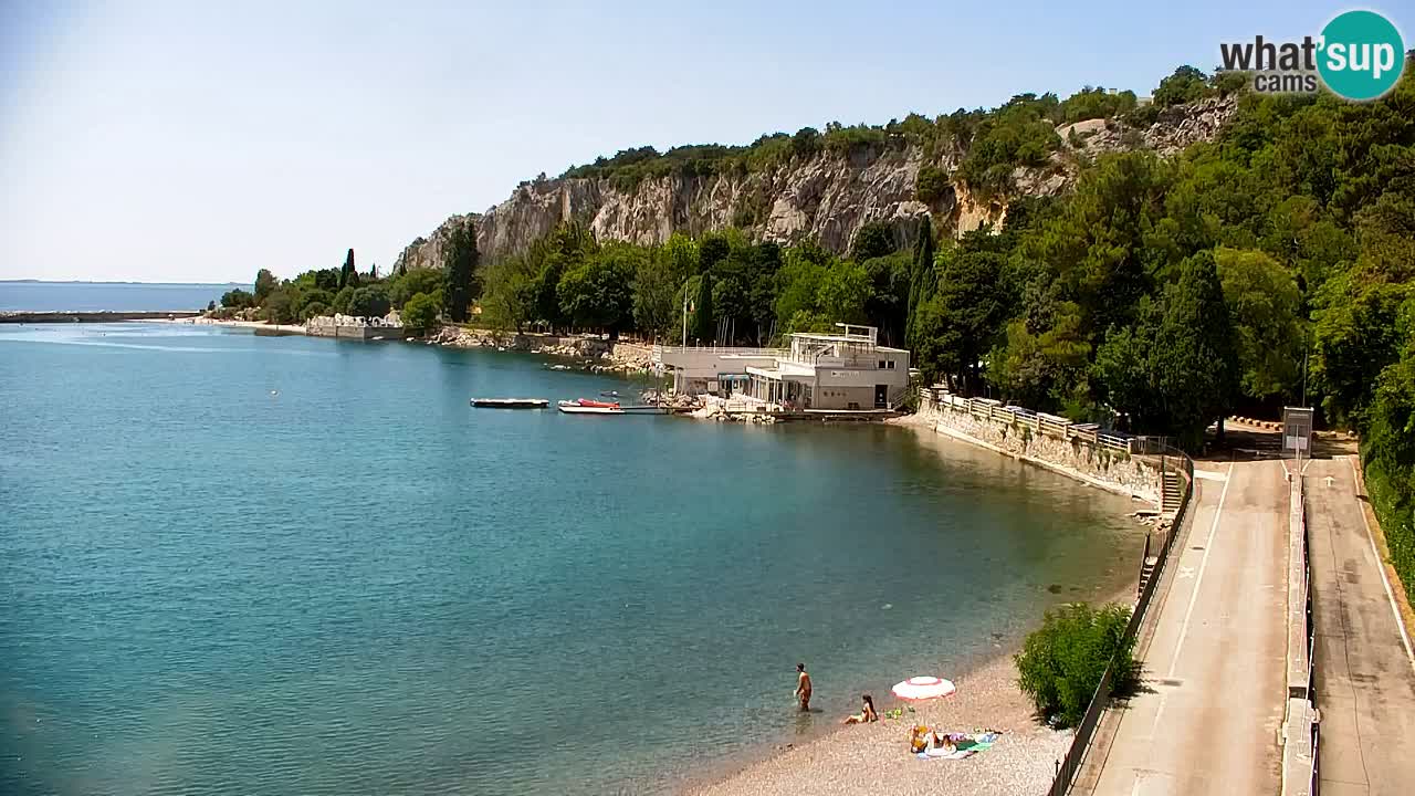 Webcam Sistiana Baia – Live View of the Marina and Gulf