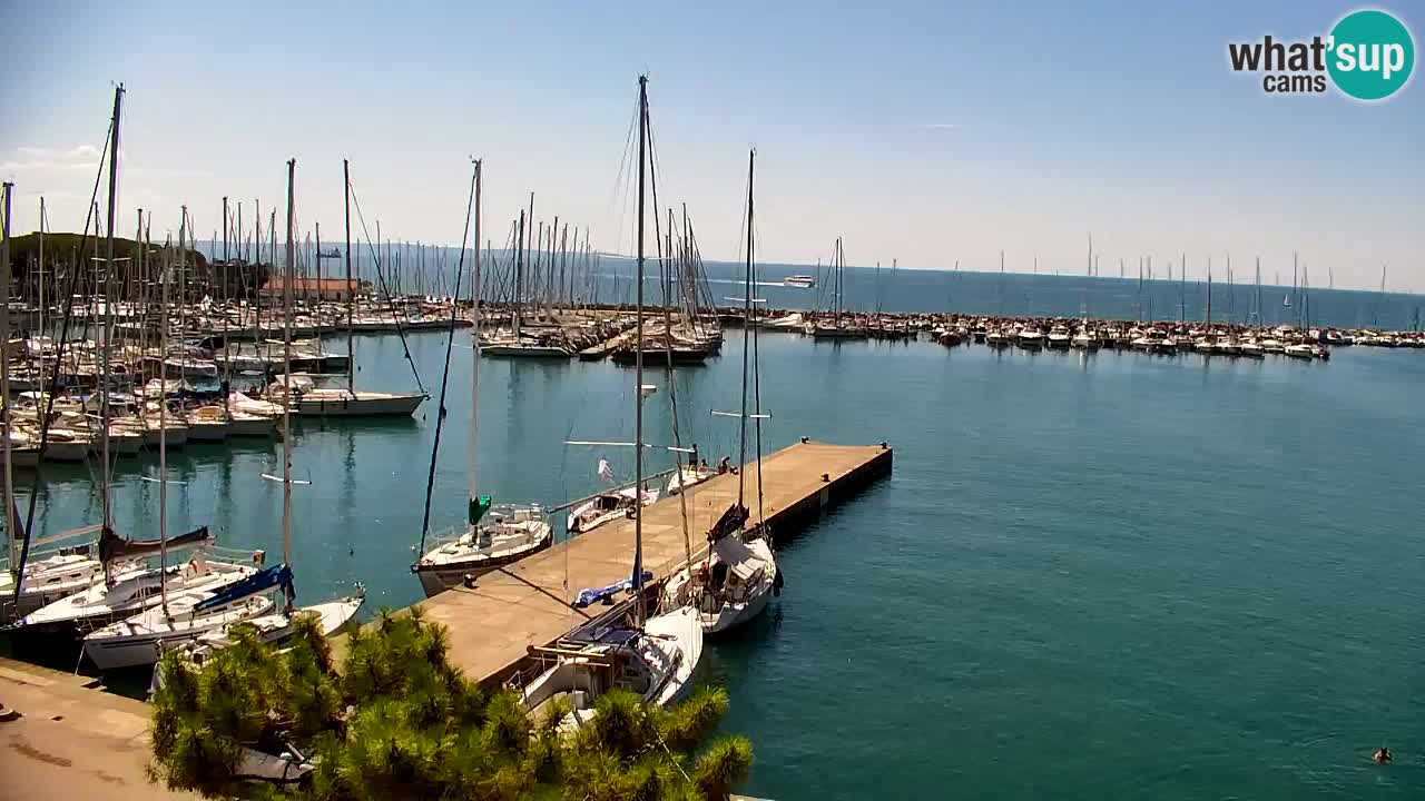 Webcam Sistiana Baia – Live View of the Marina and Gulf
