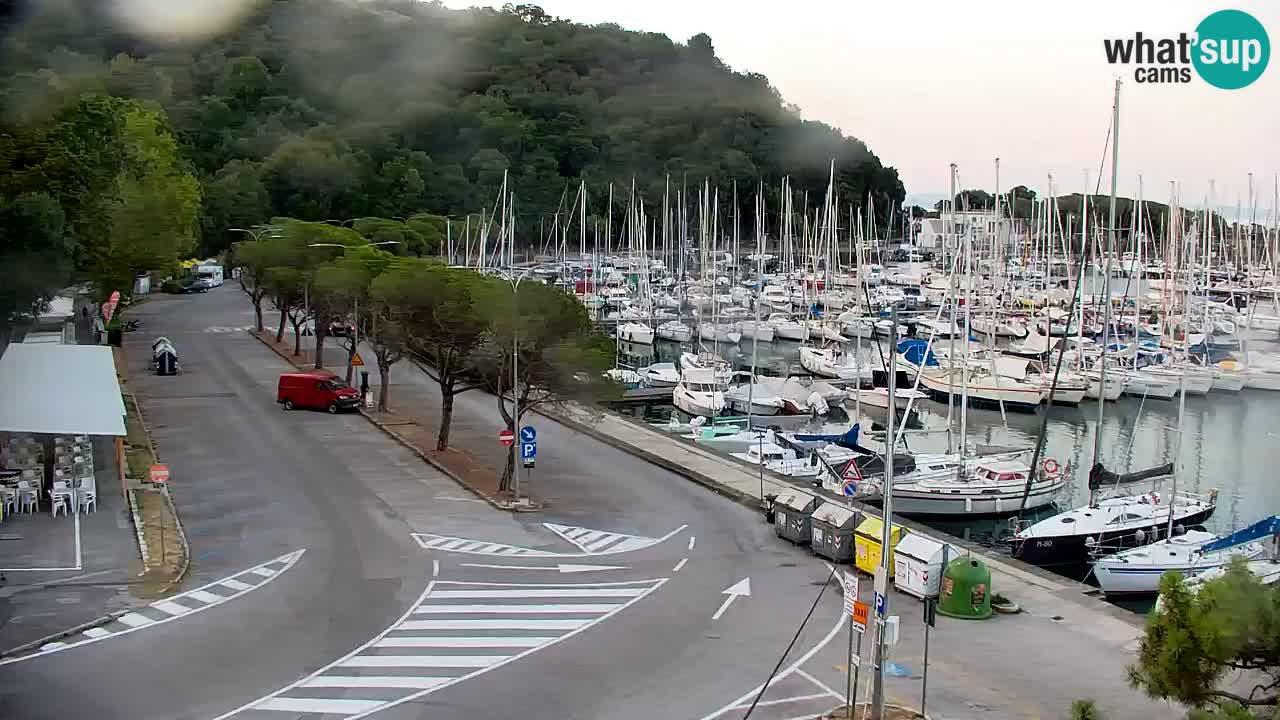 Webcam Bahía de Sistiana – Vista en directo del puerto deportivo y la costa