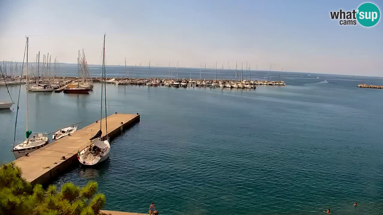 Spletna kamera Sesljanski zaliv – Pogled v živo na marino in zaliv