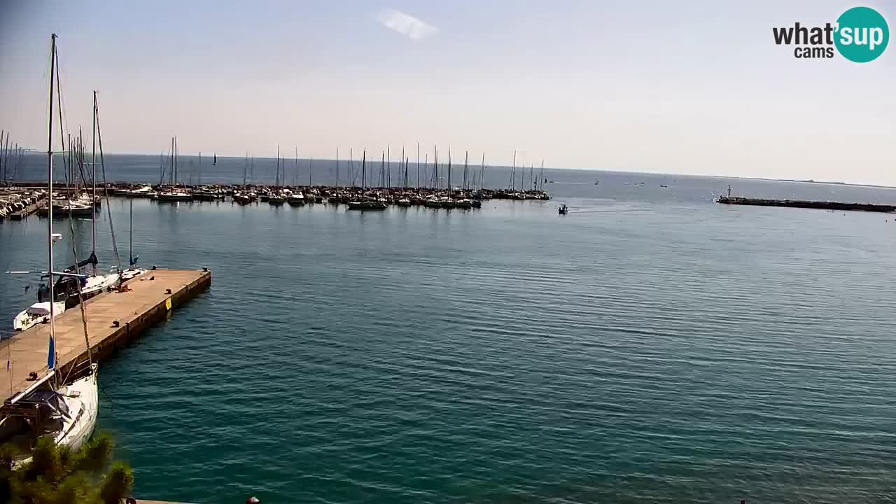Webcam Bahía de Sistiana – Vista en directo del puerto deportivo y la costa