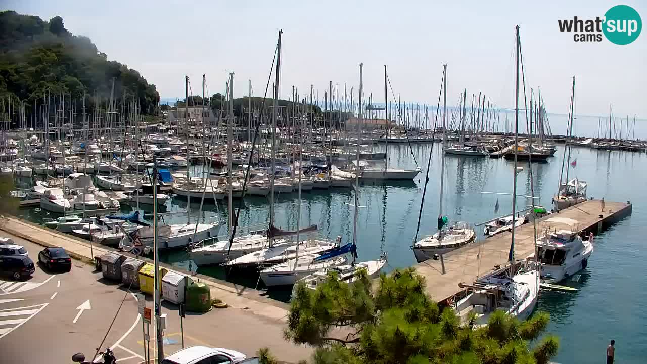 Webcam Sistiana Bucht – Liveblick auf Marina und Bucht
