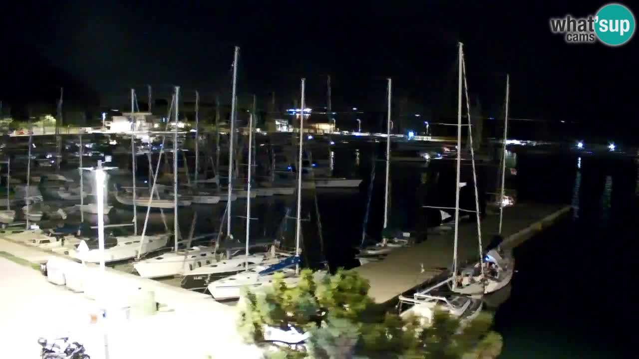 Webcam Bahía de Sistiana – Vista en directo del puerto deportivo y la costa