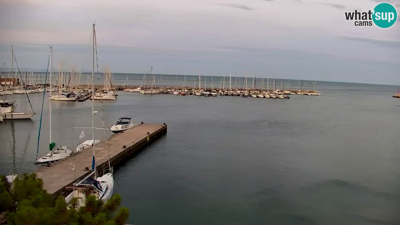 Webcam Bahía de Sistiana – Vista en directo del puerto deportivo y la costa