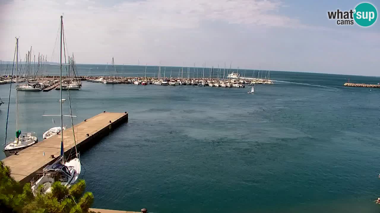 Web kamera Sistiana Uvala – Pogled uživo na marinu i zaljev
