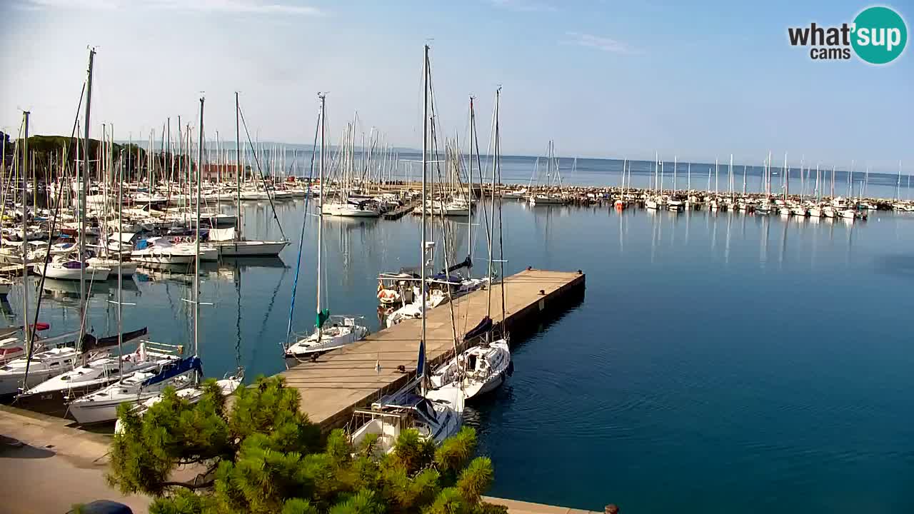 Webcam Baie de Sistiana – Vue en direct de la marina et de la baie