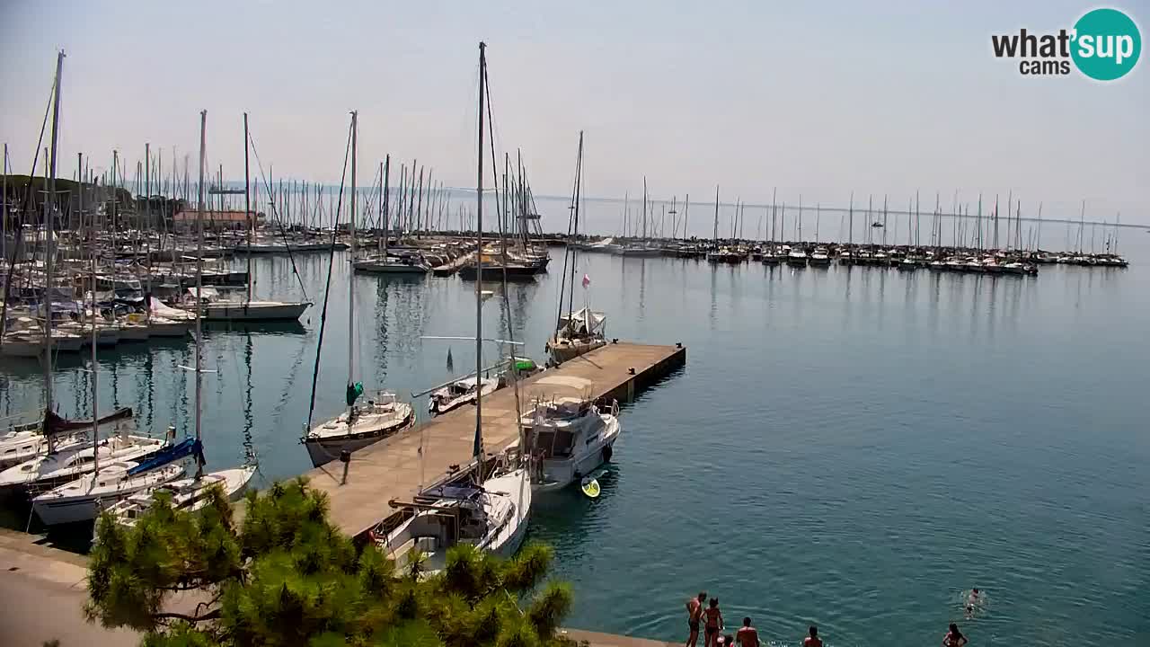 Spletna kamera Sesljanski zaliv – Pogled v živo na marino in zaliv