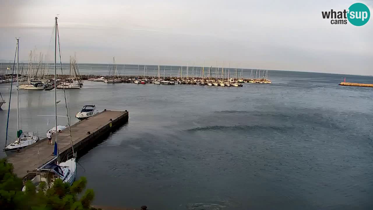 Webcam Sistiana Baia – Live View of the Marina and Gulf