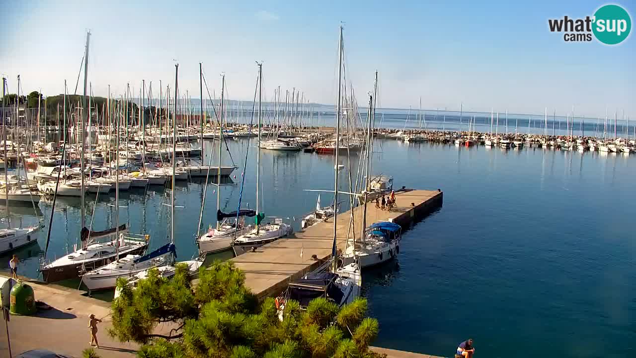 Spletna kamera Sesljanski zaliv – Pogled v živo na marino in zaliv