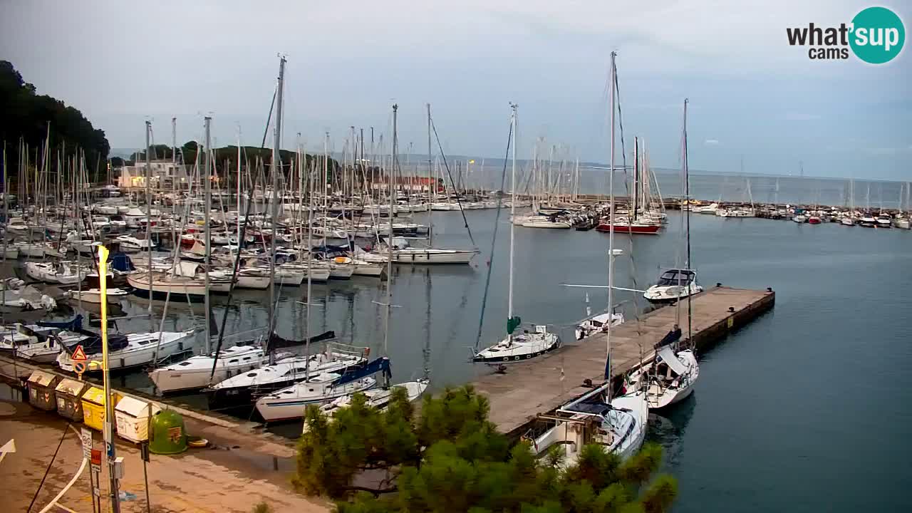 Webcam Bahía de Sistiana – Vista en directo del puerto deportivo y la costa