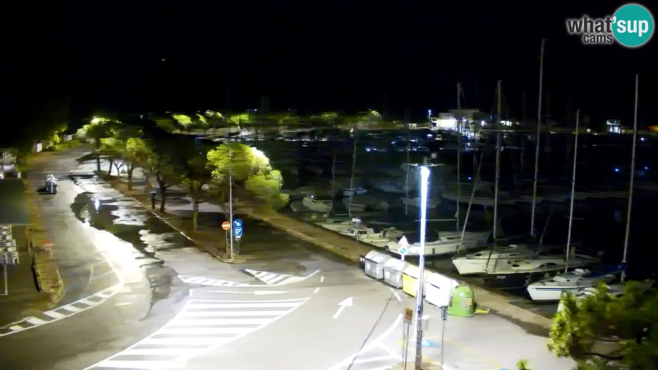 Webcam Bahía de Sistiana – Vista en directo del puerto deportivo y la costa