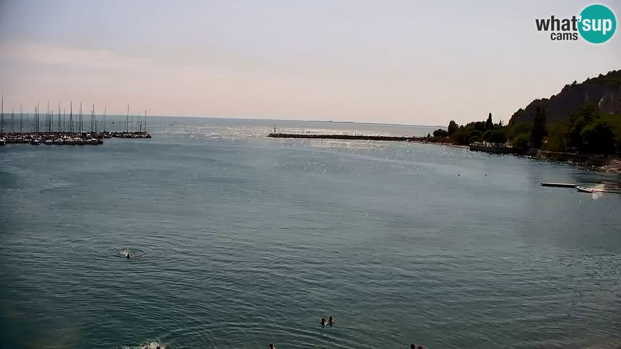 Webcam Baia di Sistiana – Marina e Golfo in diretta