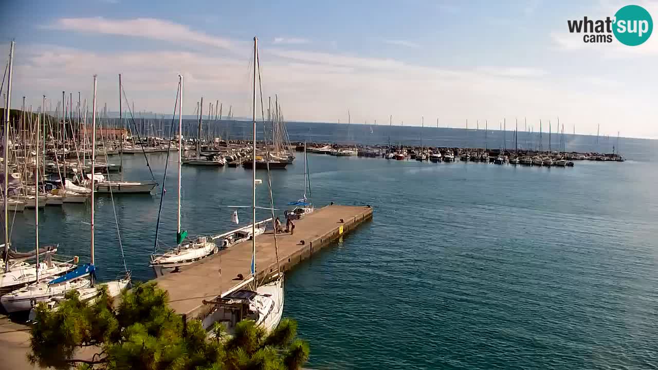 Webcam Bahía de Sistiana – Vista en directo del puerto deportivo y la costa