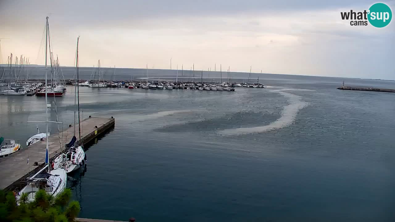 Webcam Baia di Sistiana – Marina e Golfo in diretta