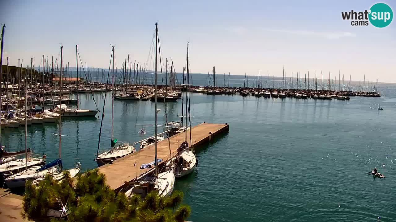 Webcam Bahía de Sistiana – Vista en directo del puerto deportivo y la costa