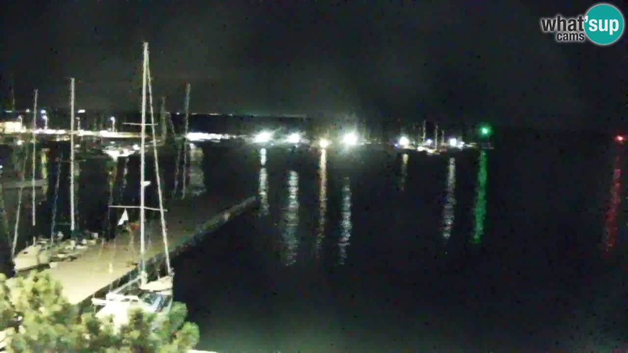 Webcam Bahía de Sistiana – Vista en directo del puerto deportivo y la costa