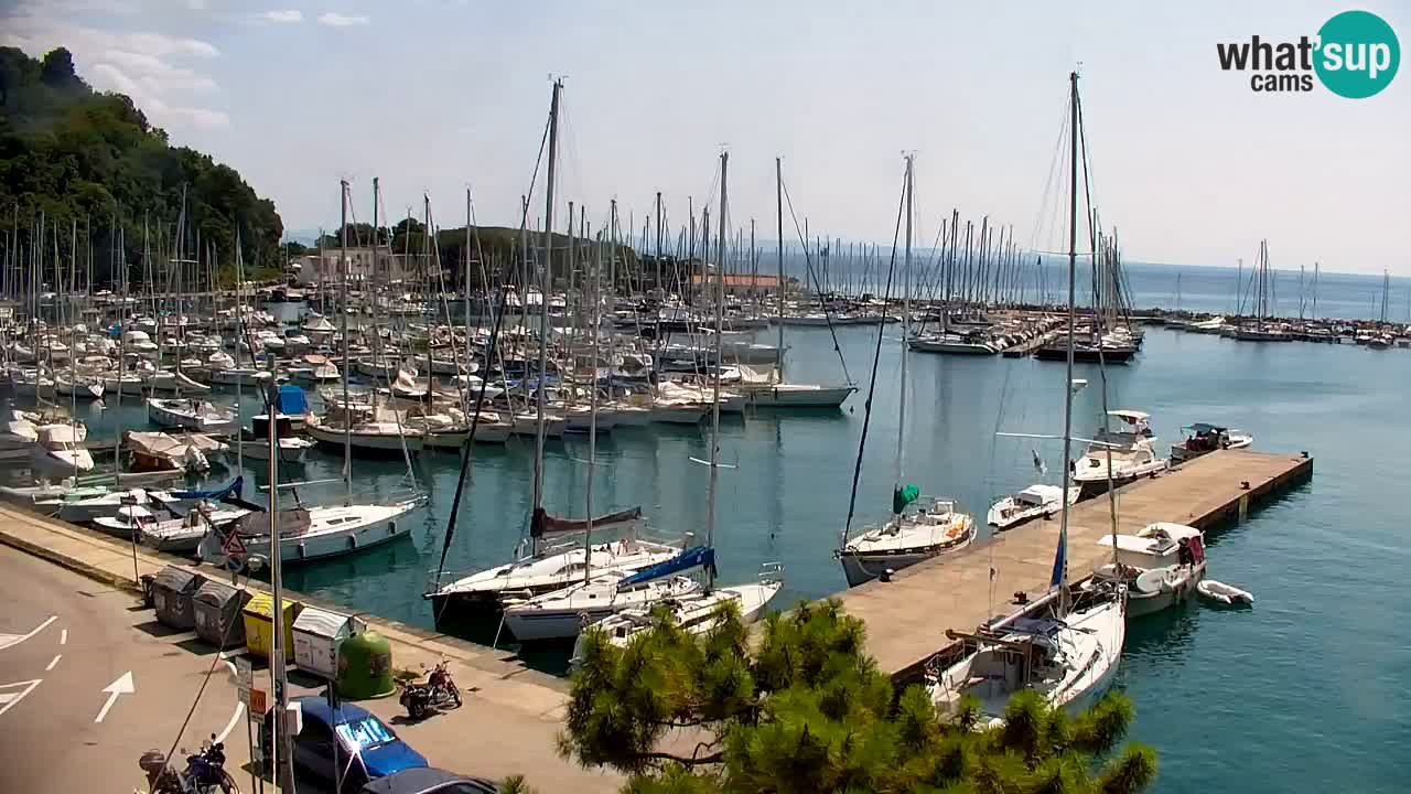 Webcam Bahía de Sistiana – Vista en directo del puerto deportivo y la costa