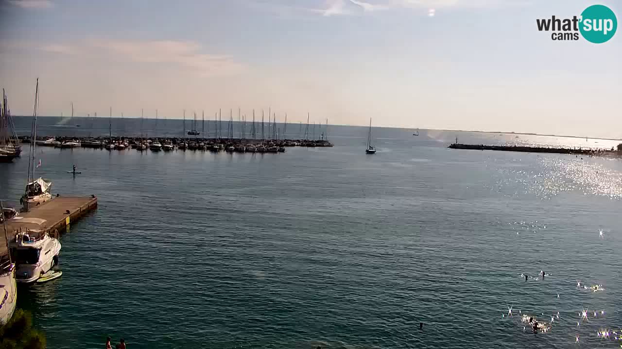 Webcam Sistiana Bucht – Liveblick auf Marina und Bucht