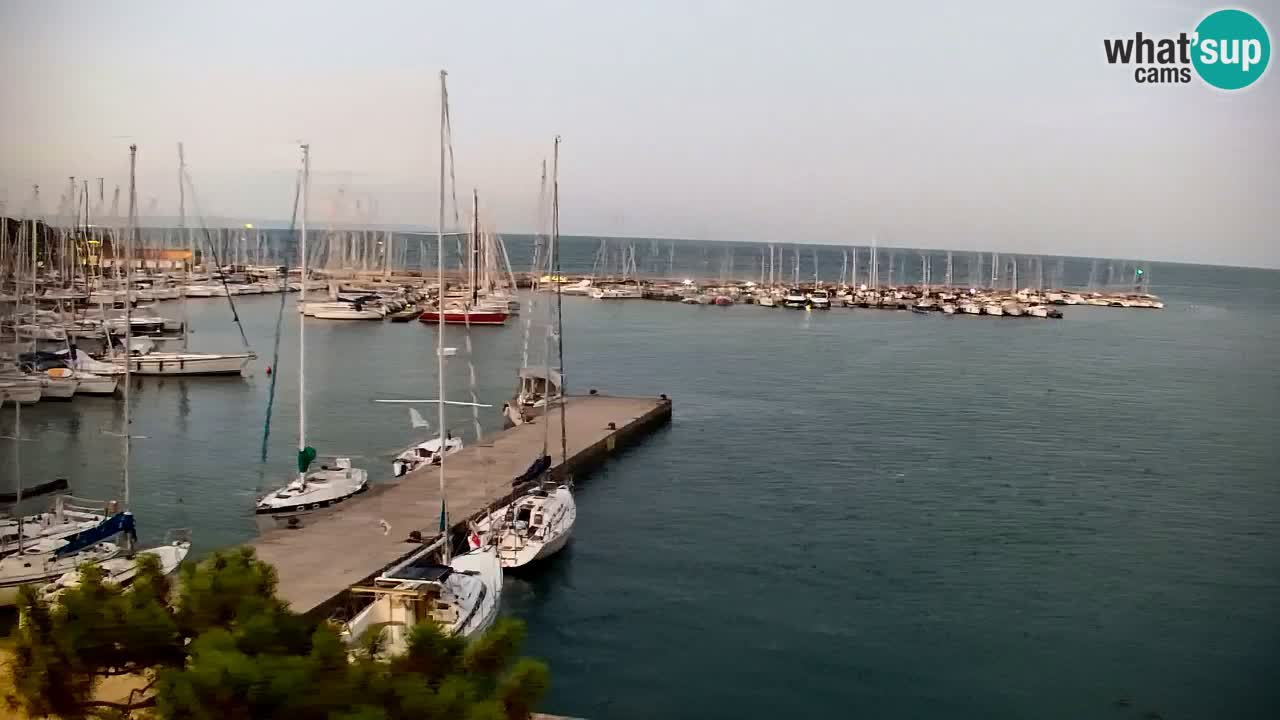 Spletna kamera Sesljanski zaliv – Pogled v živo na marino in zaliv