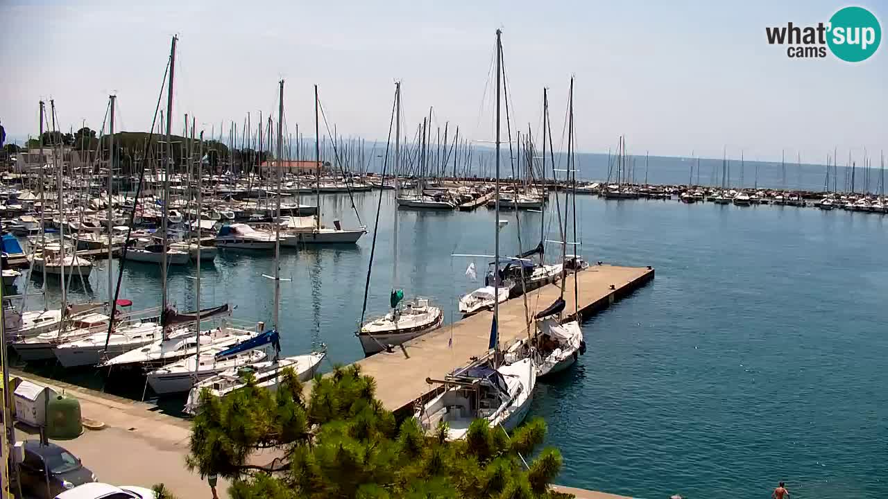 Webcam Sistiana Baia – Live View of the Marina and Gulf