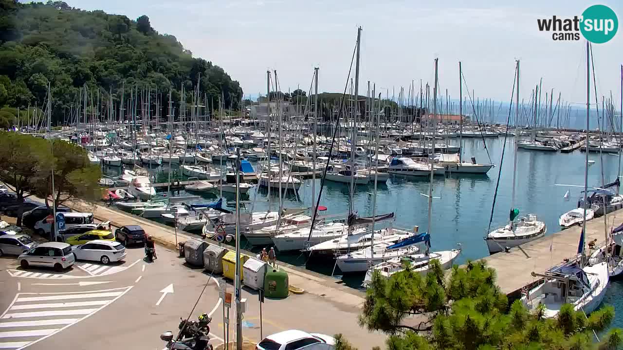 Webcam Sistiana Baia – Live View of the Marina and Gulf