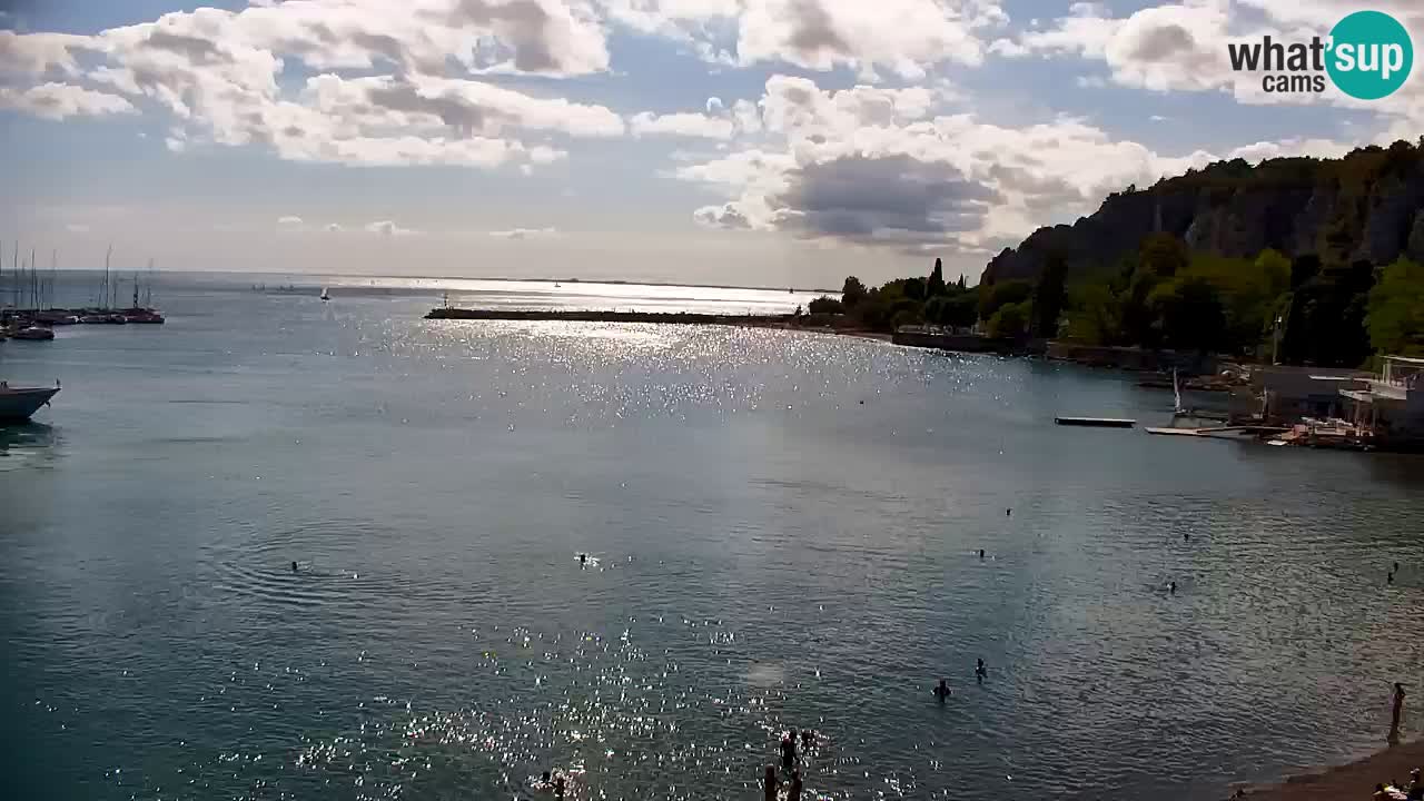 Webcam Sistiana Baia – Live View of the Marina and Gulf