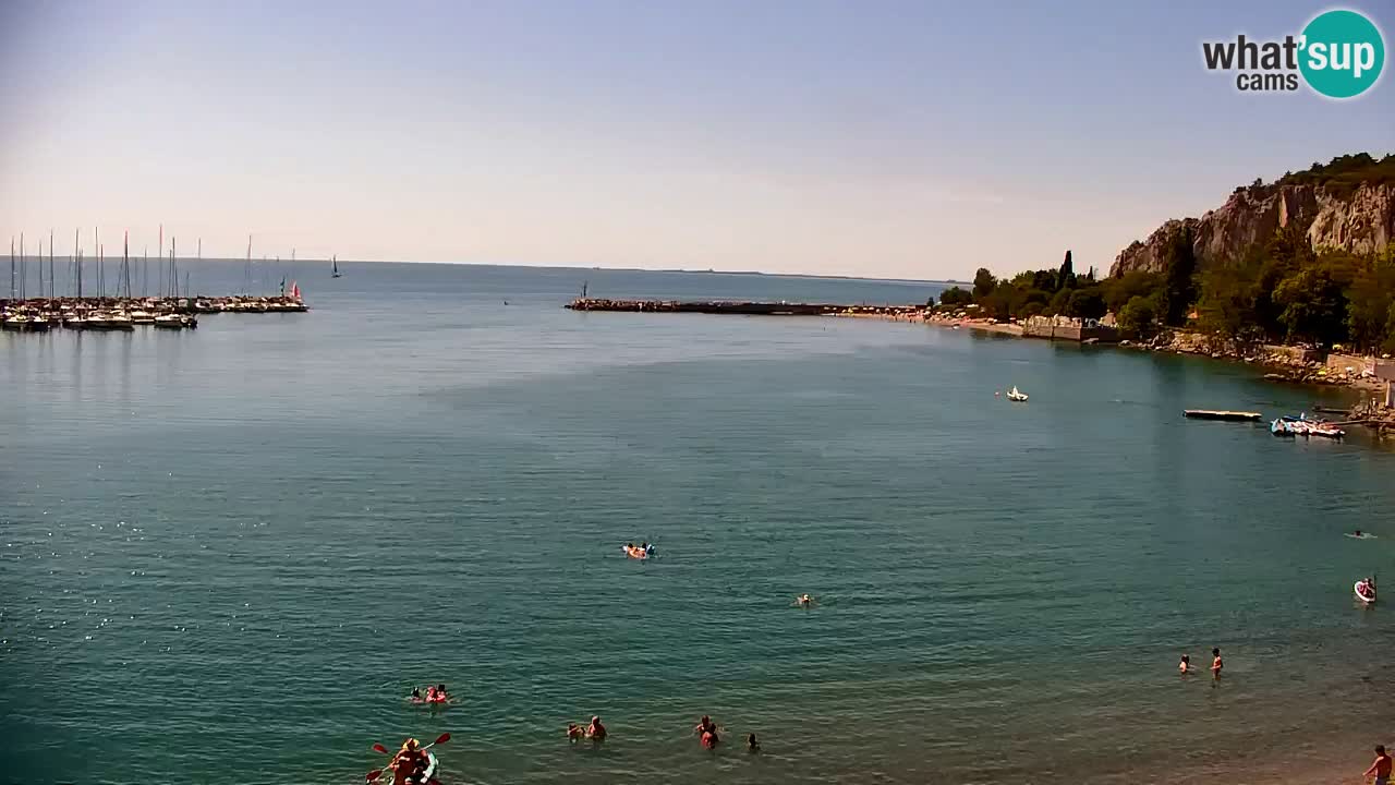 Webcam Bahía de Sistiana – Vista en directo del puerto deportivo y la costa