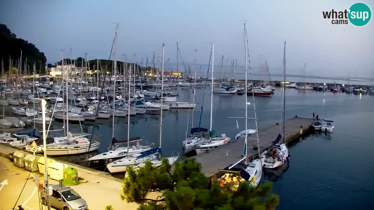 Webcam Bahía de Sistiana – Vista en directo del puerto deportivo y la costa
