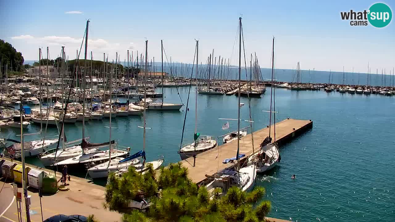 Webcam Sistiana Bucht – Liveblick auf Marina und Bucht