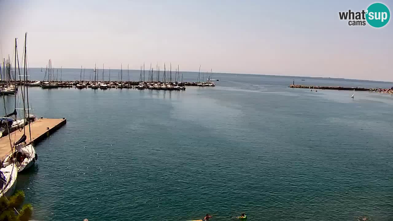 Web kamera Sistiana Uvala – Pogled uživo na marinu i zaljev