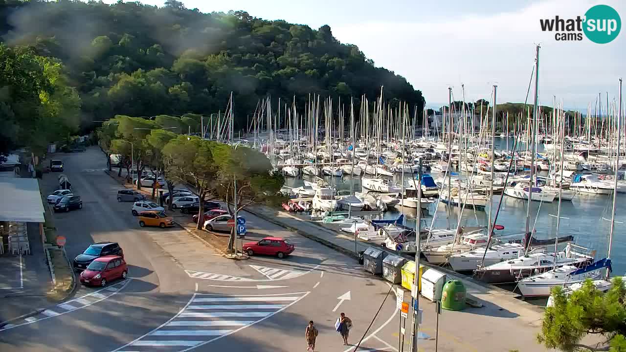 Web kamera Sistiana Uvala – Pogled uživo na marinu i zaljev