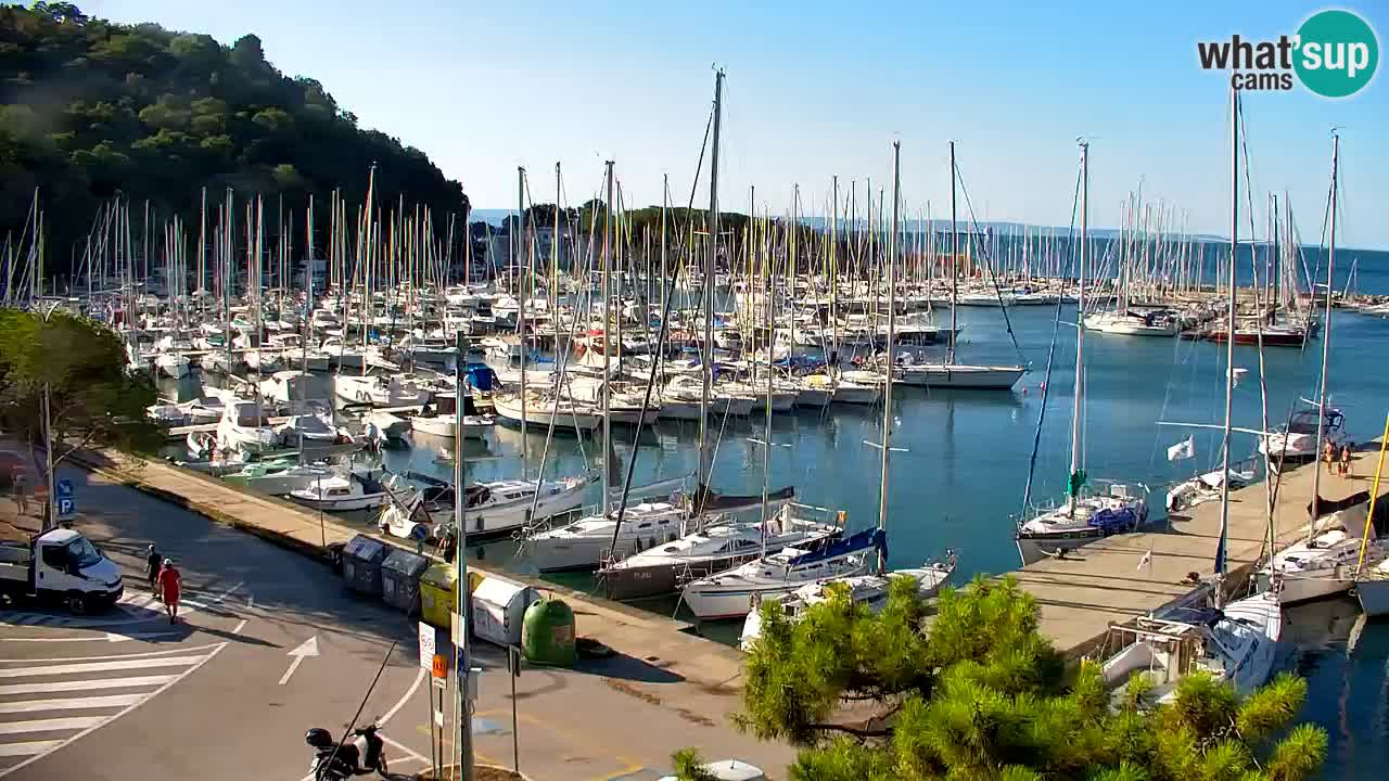 Webcam Bahía de Sistiana – Vista en directo del puerto deportivo y la costa