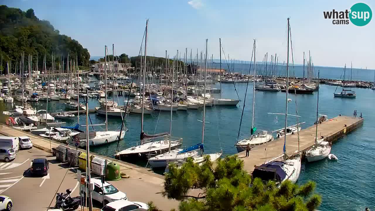 Webcam Bahía de Sistiana – Vista en directo del puerto deportivo y la costa